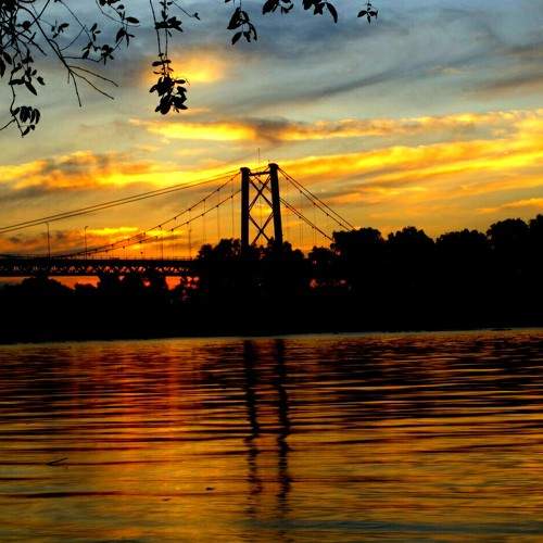 Photo #6787390