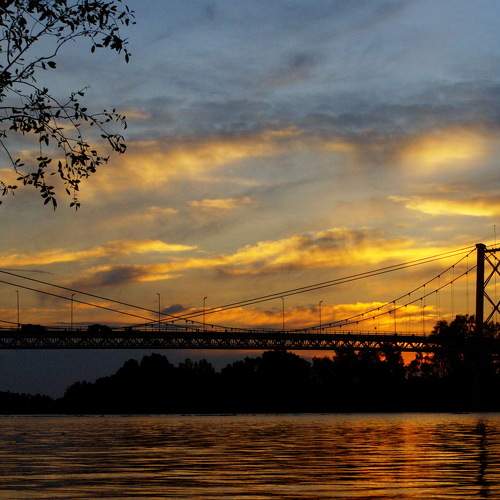 Photo #6787392