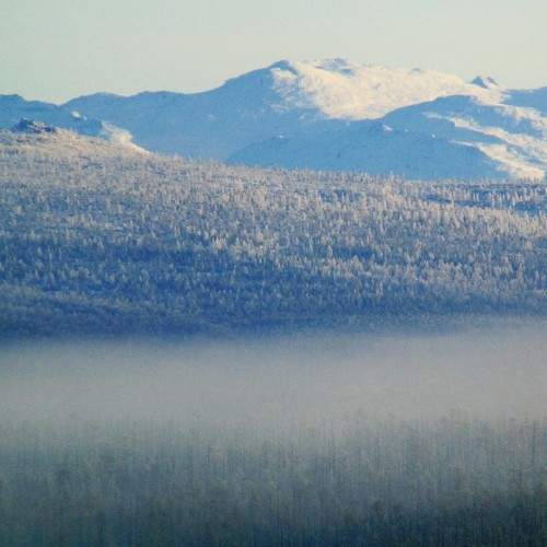 Photo #6787394