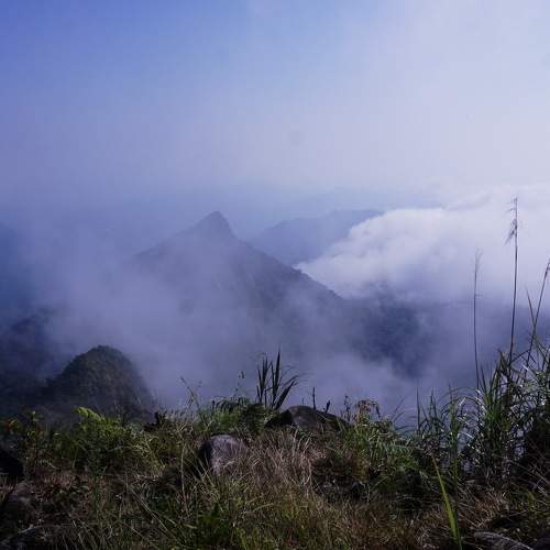 Photo #6787418