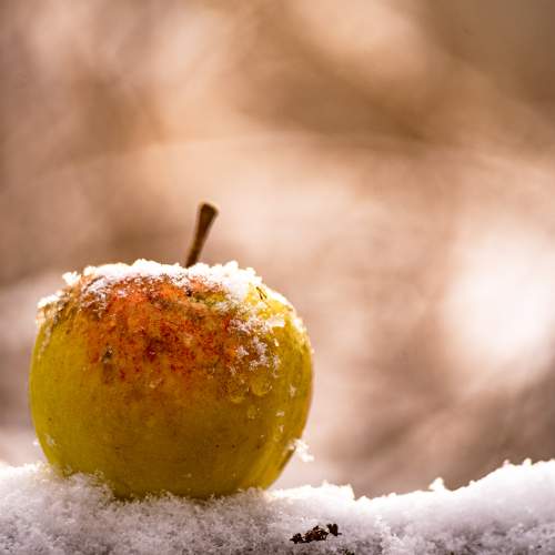 Photo #6787765
