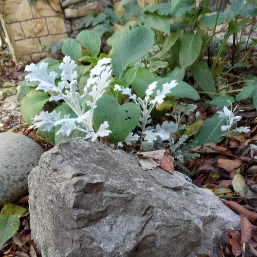 Photo #6788173