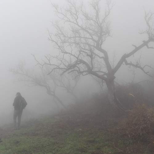 Photo #6788581