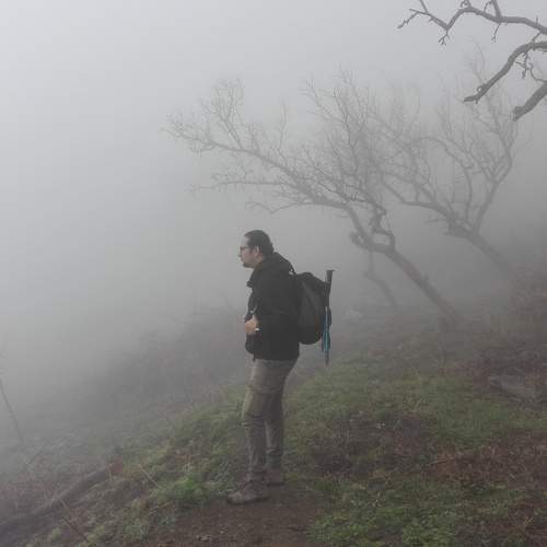 Photo #6788586