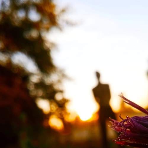 Photo #6788903