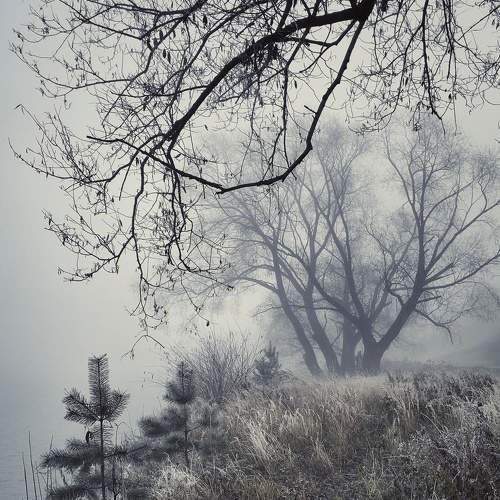 Photo #6789145