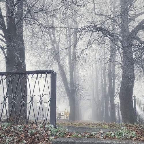 Photo #6789165