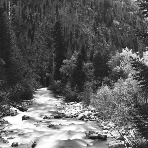 Photo #6789202