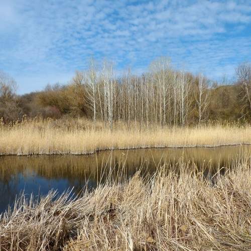 Photo #6789467