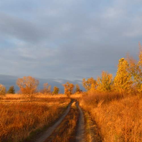 Photo #6789478