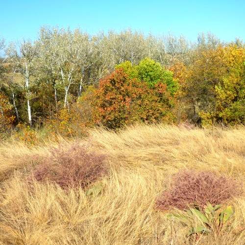 Photo #6789488