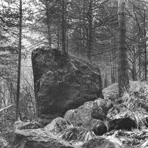 Photo #6789554