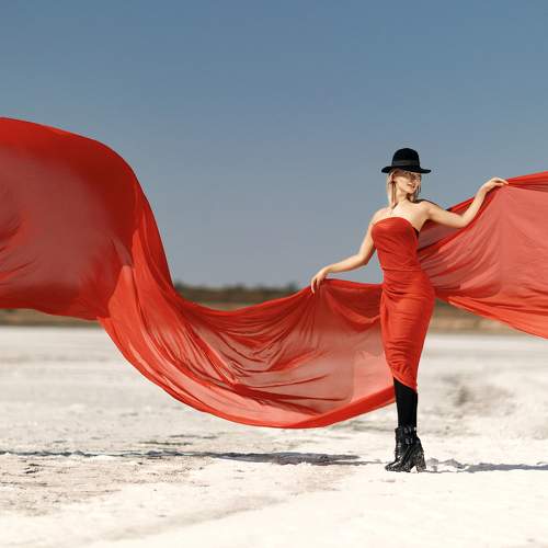 Photo #6790514
