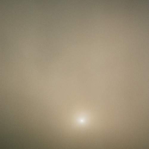 Photo #6790685