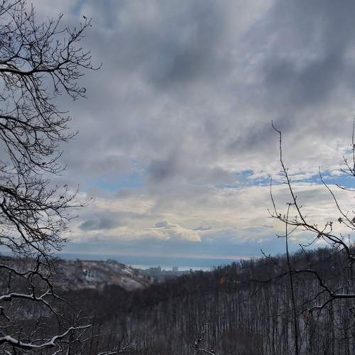 Photo #6791297