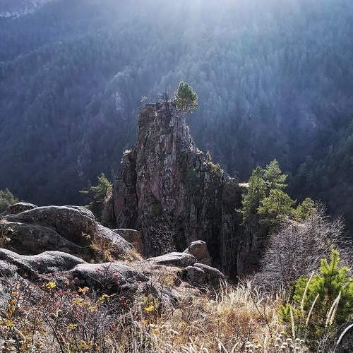 Photo #6791309