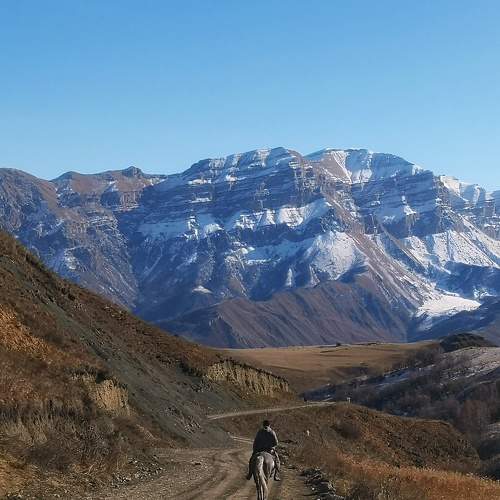 Photo #6791317