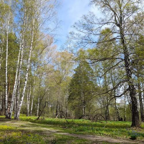 Photo #6791621