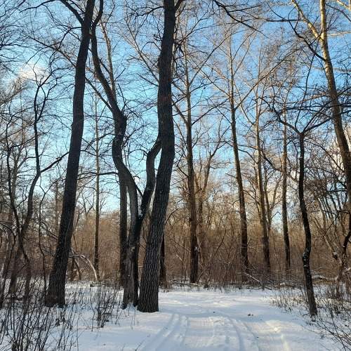 Photo #6791701