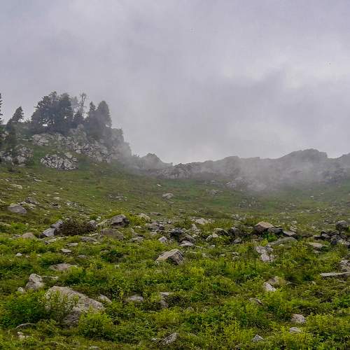 Photo #6791995