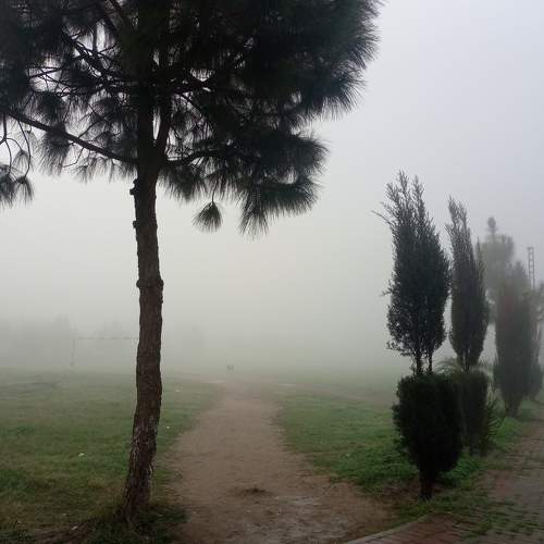 Photo #6792004