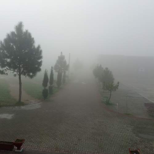 Photo #6792009