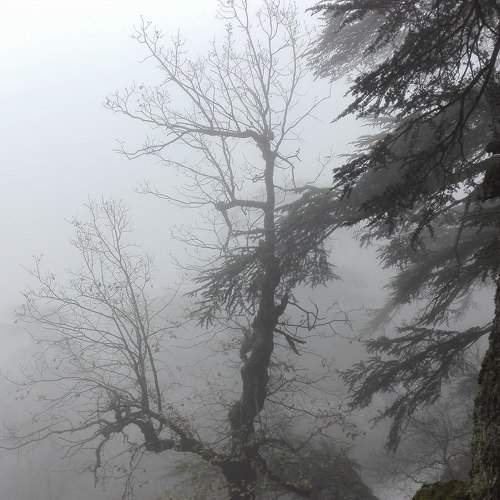 Photo #6792029