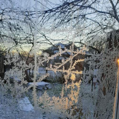 Photo #6792152