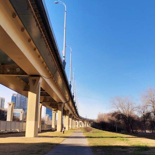 Photo #6792248