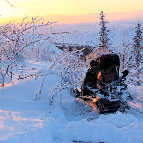 Photo #6793337