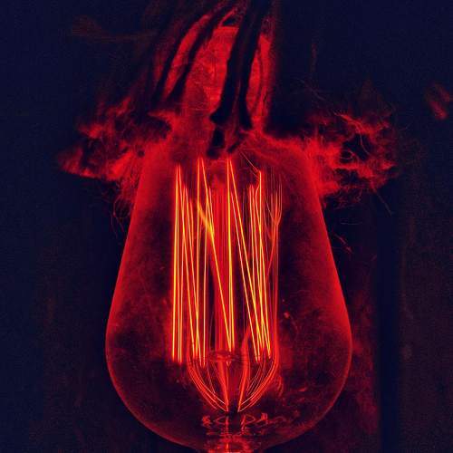Photo #6793364