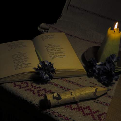 Photo #6793485