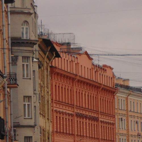 Photo #6793933