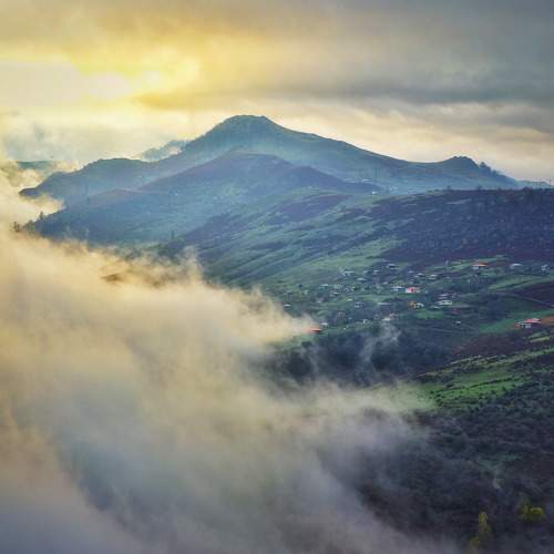 Forests of Asalem