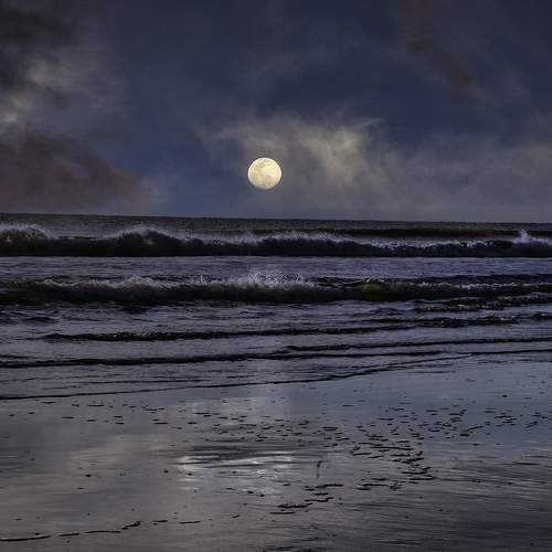 Photo #6794279