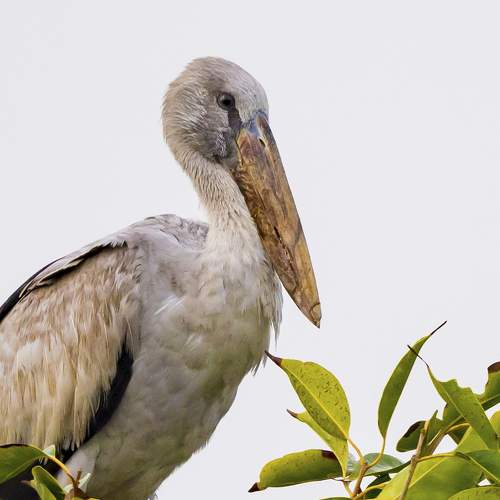 Фотография #6794320