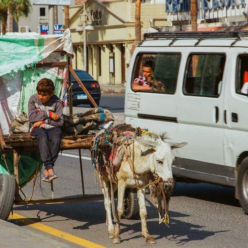 Photo #6794404