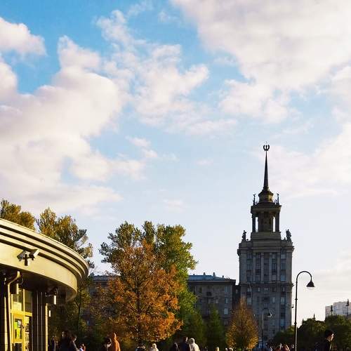 Photo #6794877