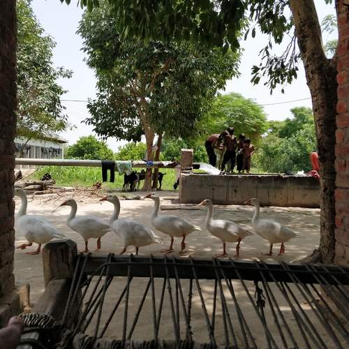 Photo #6795330