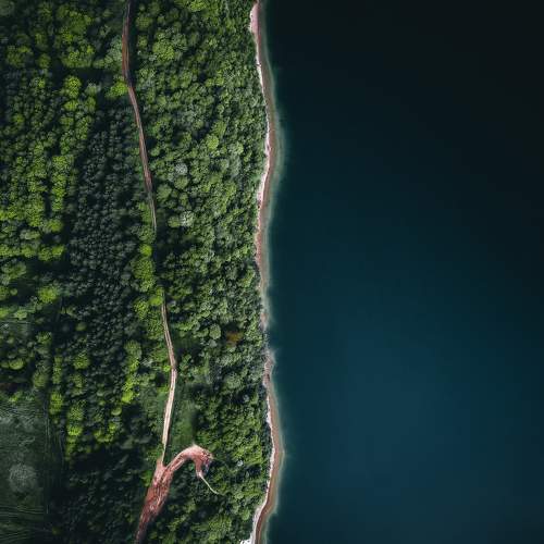 Photo #6795365