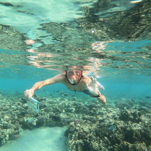 Photo #6795581