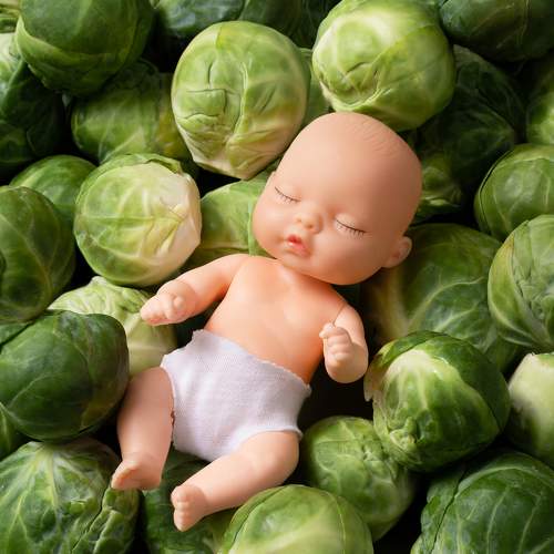 Photo #6795675