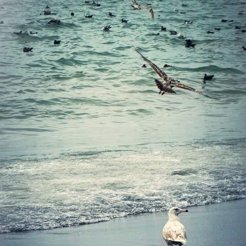 Photo #6795703