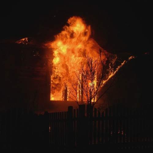 Photo #6795846