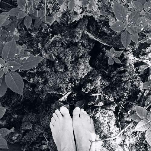 Photo #6795920