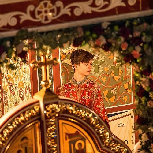 Photo #6796133