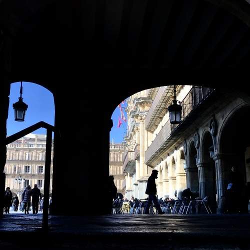 Photo #6796484
