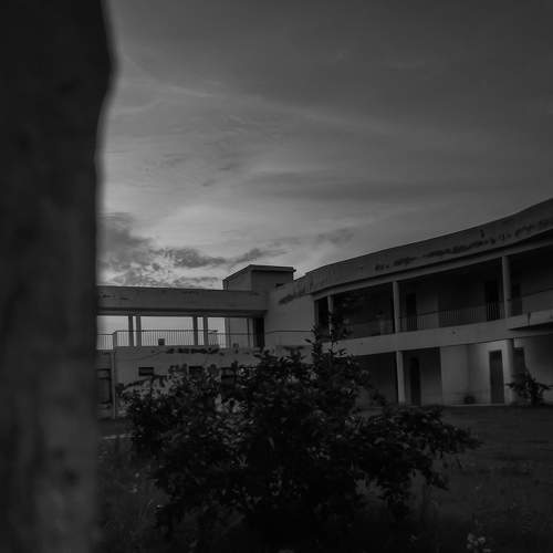 Photo #6796959