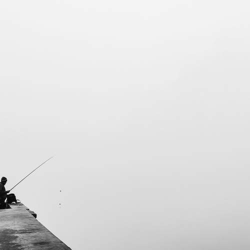 Photo #6797314