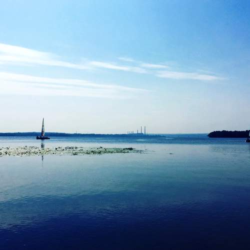 Photo #6797452
